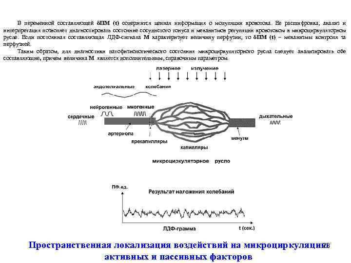 Переменная составляющая. Ритмы колебаний кровотока в микроциркуляторном русле. Модуляция сосудистого тонуса. Методом переменной составляющей.