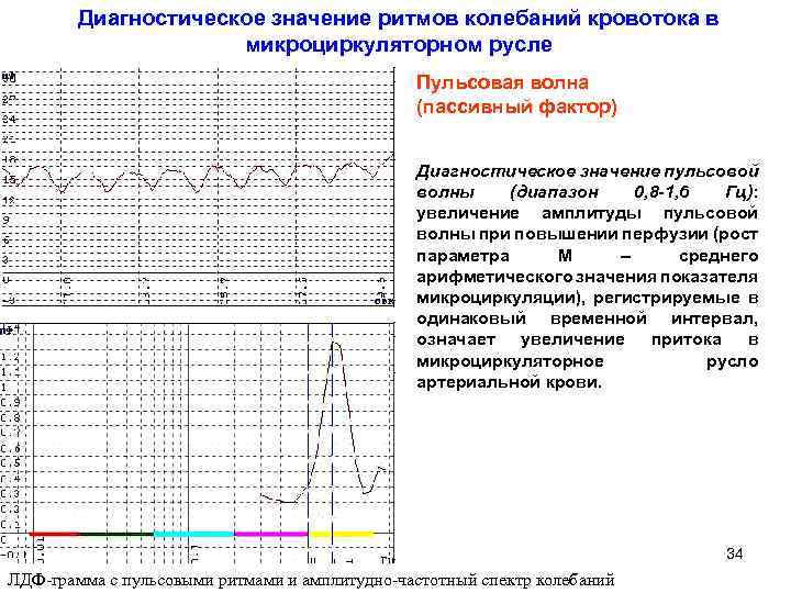Значение диагностики. Ритмы колебаний кровотока в микроциркуляторном русле. Перечислите ритмы колебаний кровотока в микроциркуляторном русле?. 10. Перечислите ритмы колебаний кровотока в микроциркуляторном русле?. Осцилляция кровотока это.