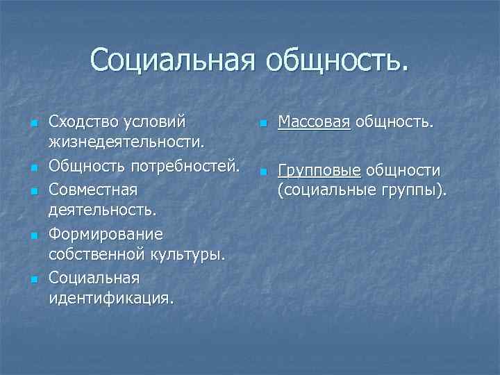 Социальная общность. n n n Сходство условий жизнедеятельности. Общность потребностей. Совместная деятельность. Формирование собственной