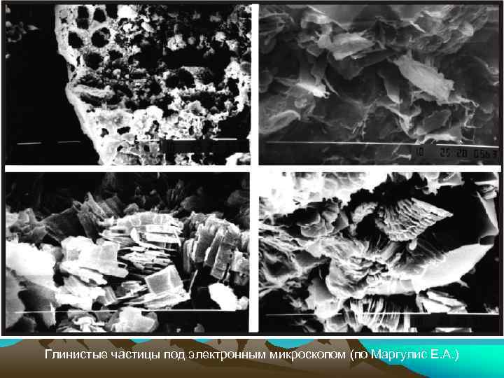 Глинистые частицы под электронным микроскопом (по Маргулис Е. А. ) 