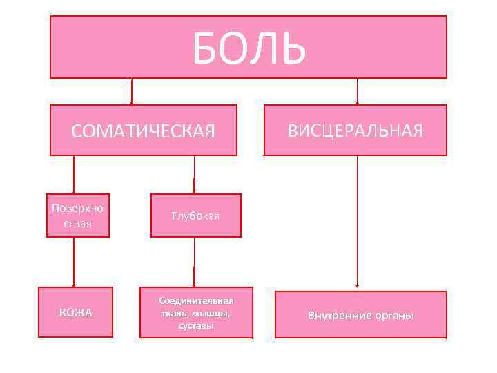 БОЛЬ СОМАТИЧЕСКАЯ Поверхно стная Глубокая КОЖА Соединительная ткань, мышцы, суставы ВИСЦЕРАЛЬНАЯ Внутренние органы 