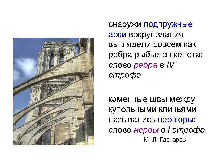  снаружи подпружные арки вокруг здания выглядели совсем как ребра рыбьего скелета: слово ребра
