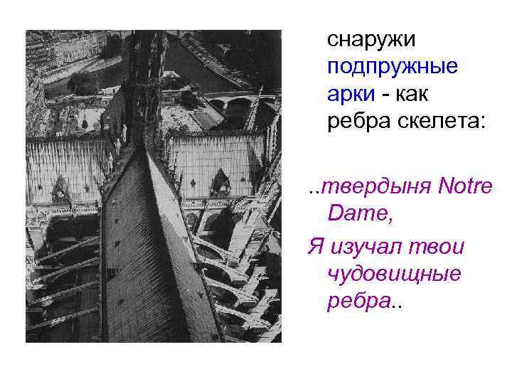 снаружи подпружные арки - как ребра скелета: . . твердыня Notre Dame, Я изучал