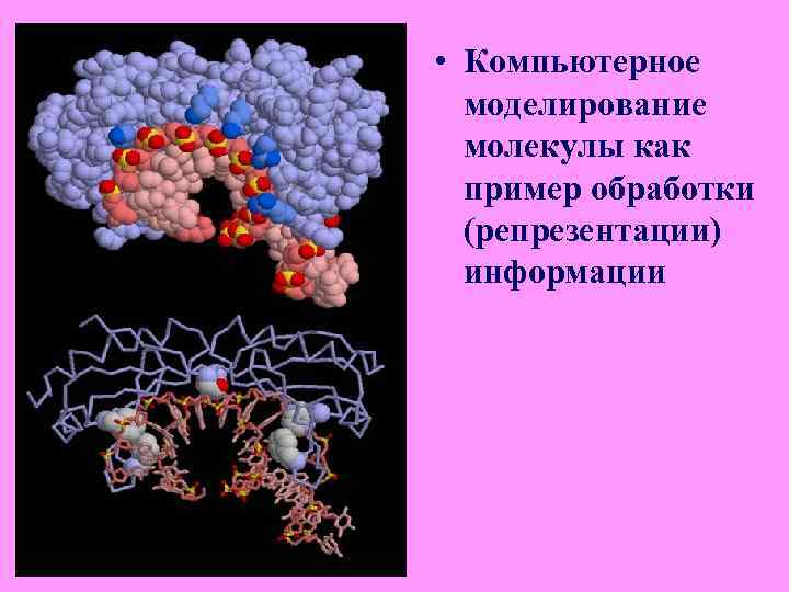 Концептуальные средства познания Язык науки Концептуальные средства познания Язык науки