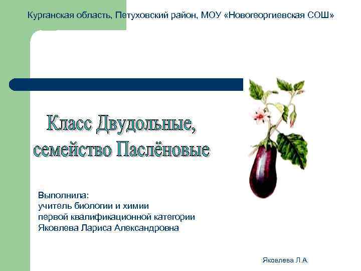 Курганская область, Петуховский район, МОУ «Новогеоргиевская СОШ» Выполнила: учитель биологии и химии первой квалификационной