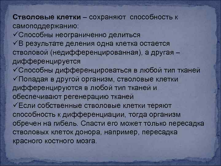 Стволовые клетки – сохраняют способность к самоподдержанию: üСпособны неограниченно делиться üВ результате деления одна