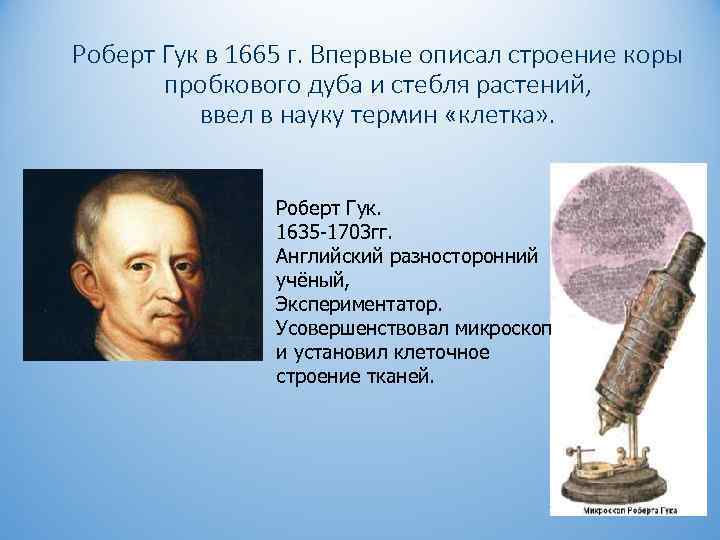 Роберт Гук в 1665 г. Впервые описал строение коры пробкового дуба и стебля растений,