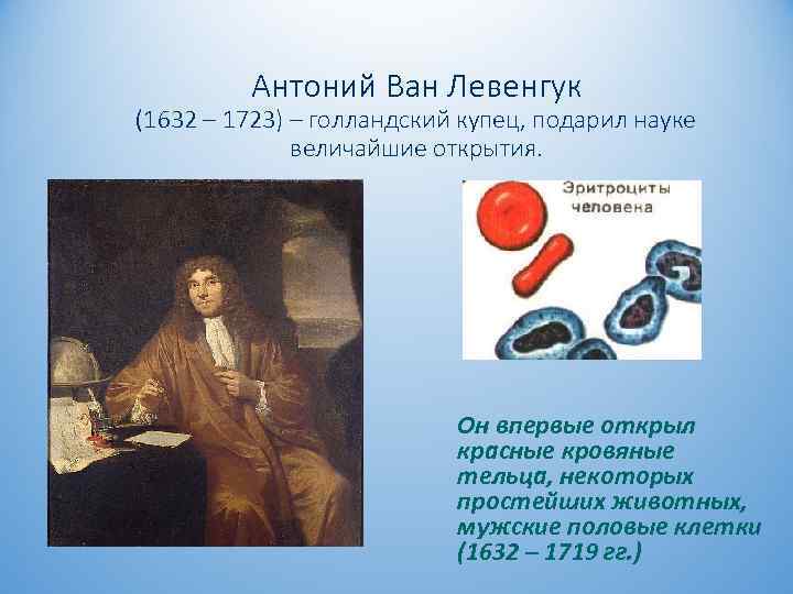 Антоний Ван Левенгук (1632 – 1723) – голландский купец, подарил науке величайшие открытия. Он