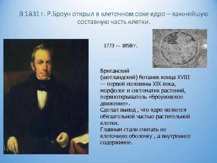 В 1831 г. Р. Броун открыл в клеточном соке ядро – важнейшую составную часть
