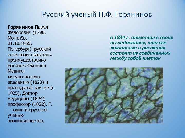 Русский ученый П. Ф. Горянинов Павел Федорович (1796, Могилёв, — 21. 10. 1865, Петербург),