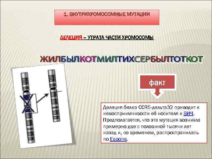 1. ВНУТРИХРОМОСОМНЫЕ МУТАЦИИ ДЕЛЕЦИЯ – УТРАТА ЧАСТИ ХРОМОСОМЫ факт Делеция белка CCR 5 -дельта