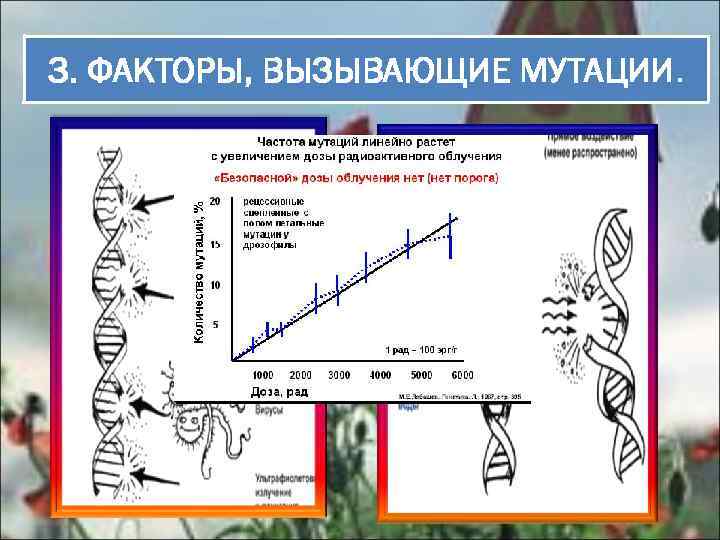 3. ФАКТОРЫ, ВЫЗЫВАЮЩИЕ МУТАЦИИ. 