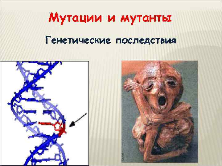Мутации и мутанты Генетические последствия 
