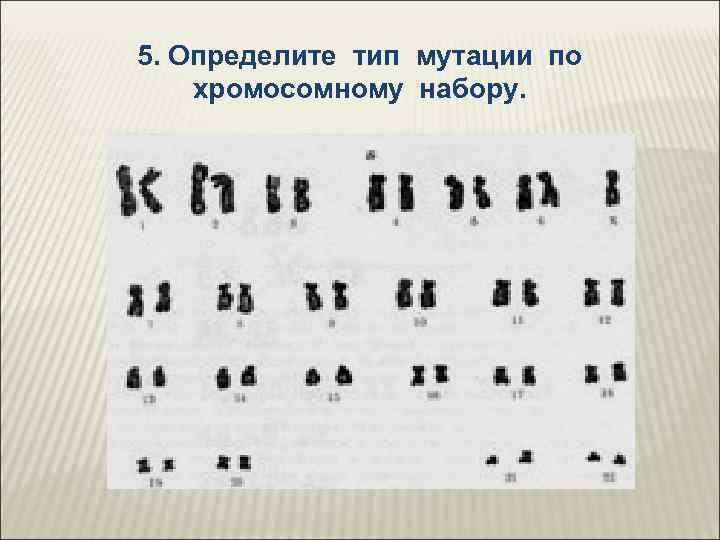 Рассмотрите рисунок определите какие виды мутаций изображены и впишите их названия в соответствии