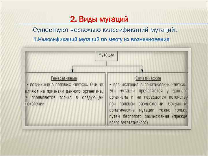 2. Виды мутаций Существуют несколько классификаций мутаций. 