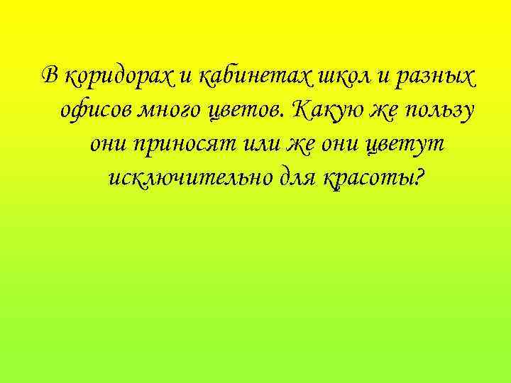 В коридорах и кабинетах школ и разных офисов много цветов. Какую же пользу они
