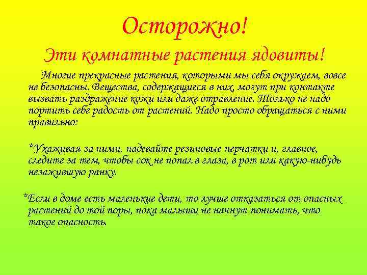 Осторожно! Эти комнатные растения ядовиты! Многие прекрасные растения, которыми мы себя окружаем, вовсе не