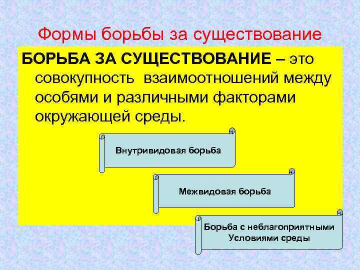 Формы борьбы за существование БОРЬБА ЗА СУЩЕСТВОВАНИЕ – это совокупность взаимоотношений между особями и