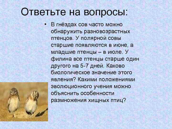 Ответьте на вопросы: • В гнёздах сов часто можно обнаружить разновозрастных птенцов. У полярной