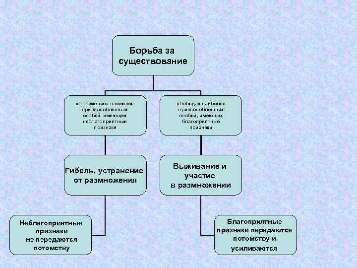 Борьба за существование является. Механизмы эволюции борьба за существование. Закон борьбы за существование. Борьба за существование деревьев. Борьба за существование это адаптация.