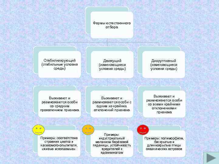 Формы естественного отбора Стабилизирующий (стабильные условия среды) Движущий (изменяющиеся условия среды) Дизруптивный (изменяющиеся условия