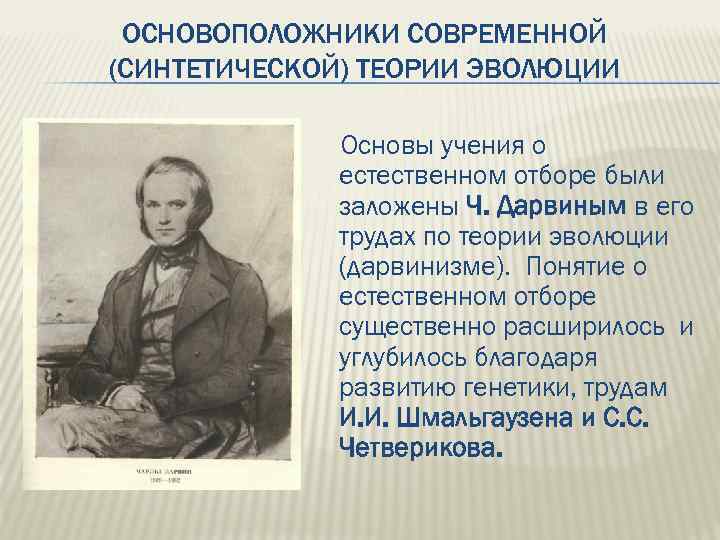 ОСНОВОПОЛОЖНИКИ СОВРЕМЕННОЙ (СИНТЕТИЧЕСКОЙ) ТЕОРИИ ЭВОЛЮЦИИ Основы учения о естественном отборе были заложены Ч. Дарвиным