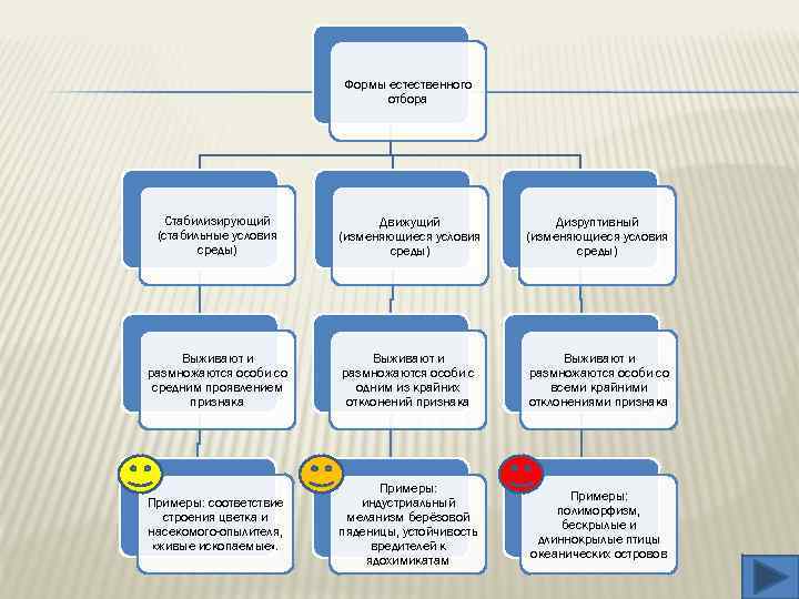 Формы естественного отбора Стабилизирующий (стабильные условия среды) Движущий (изменяющиеся условия среды) Дизруптивный (изменяющиеся условия