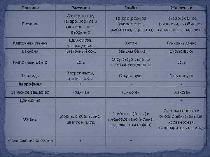 Характеристика растительных животных