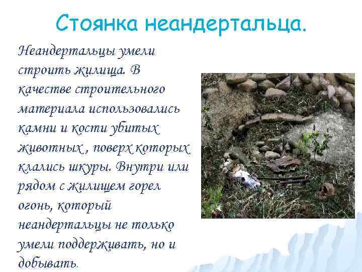 Стоянка неандертальца. Неандертальцы умели строить жилища. В качестве строительного материала использовались камни и кости