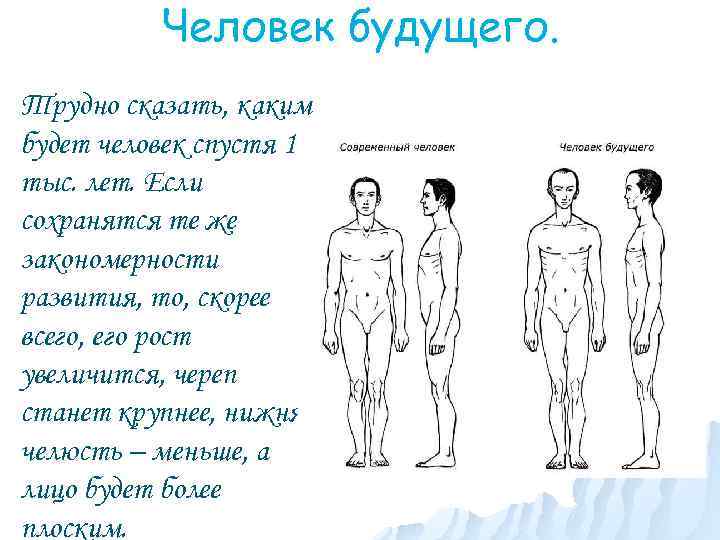 Человек будущего. Трудно сказать, каким будет человек спустя 10 тыс. лет. Если сохранятся те