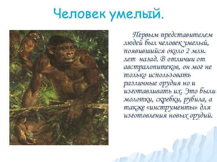 Человек умелый. Первым представителем людей был человек умелый, появившийся около 2 млн. лет назад.