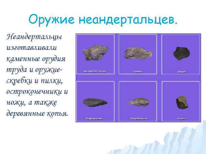 Оружие неандертальцев. Неандертальцы изготавливали каменные орудия труда и оружиескребки и пилки, остроконечники и ножи,