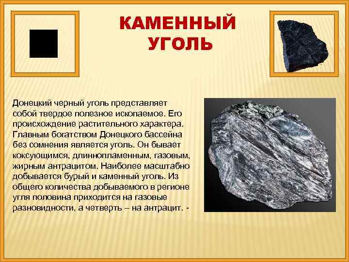 КАМЕННЫЙ УГОЛЬ Донецкий черный уголь представляет собой твердое полезное ископаемое. Его происхождение растительного характера.
