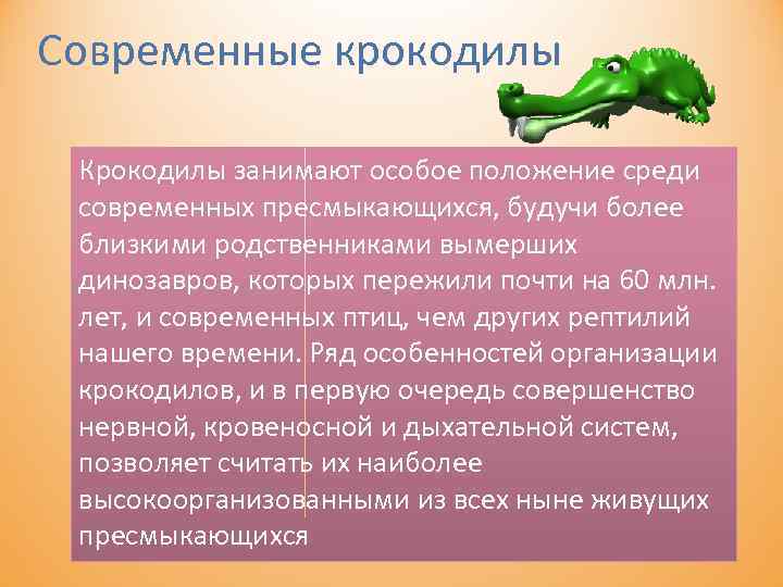 Современные крокодилы Крокодилы занимают особое положение среди современных пресмыкающихся, будучи более близкими родственниками вымерших