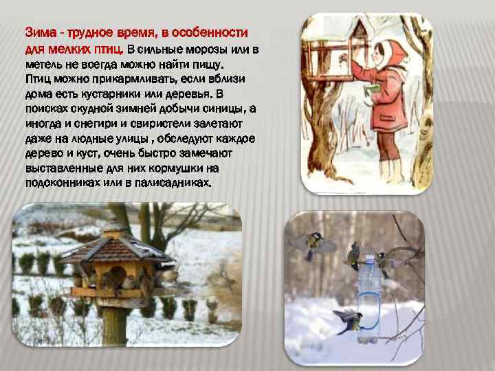 Зима - трудное время, в особенности для мелких птиц. В сильные морозы или в