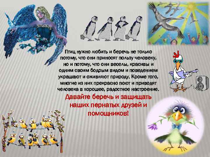Птиц нужно любить и беречь не только потому, что они приносят пользу человеку, но
