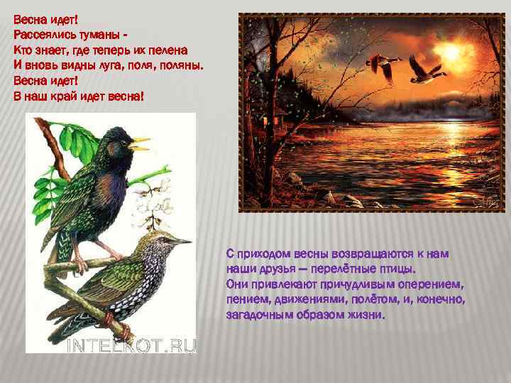 Весна идет! Рассеялись туманы Кто знает, где теперь их пелена И вновь видны луга,