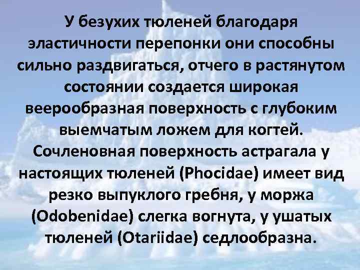 У безухих тюленей благодаря эластичности перепонки они способны сильно раздвигаться, отчего в растянутом состоянии