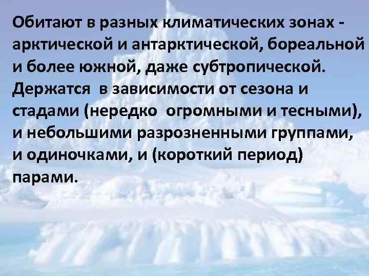 Обитают в разных климатических зонах - арктической и антарктической, бореальной и более южной, даже
