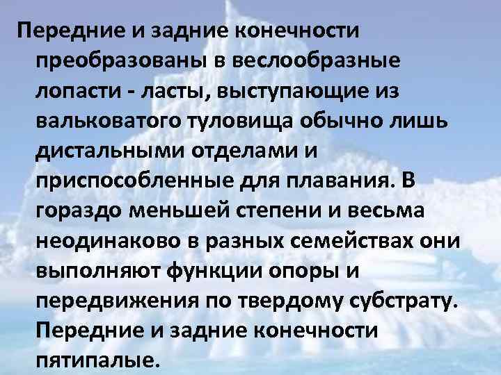 Передние и задние конечности преобразованы в веслообразные лопасти - ласты, выступающие из вальковатого туловища