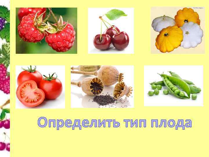 Определить тип плода 