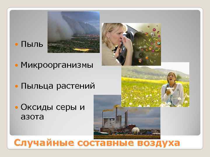  Пыль Микроорганизмы Пыльца растений Оксиды серы и азота Случайные составные воздуха 
