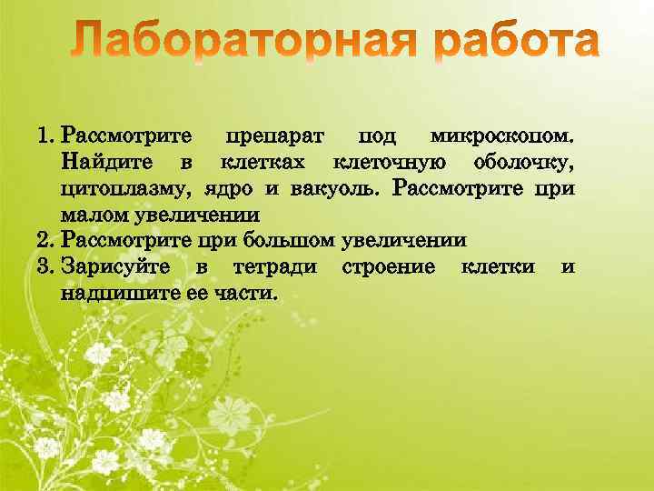 1. Рассмотрите препарат под микроскопом. Найдите в клетках клеточную оболочку, цитоплазму, ядро и вакуоль.