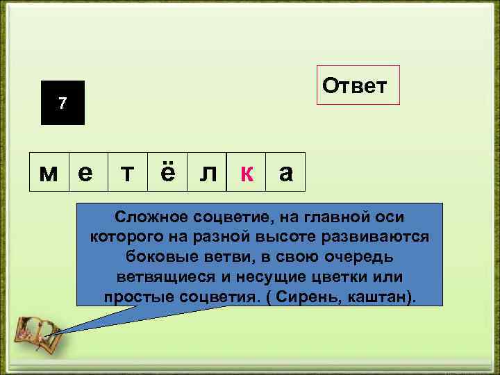 Ответ 7 м е т ё л к а Сложное соцветие, на главной оси