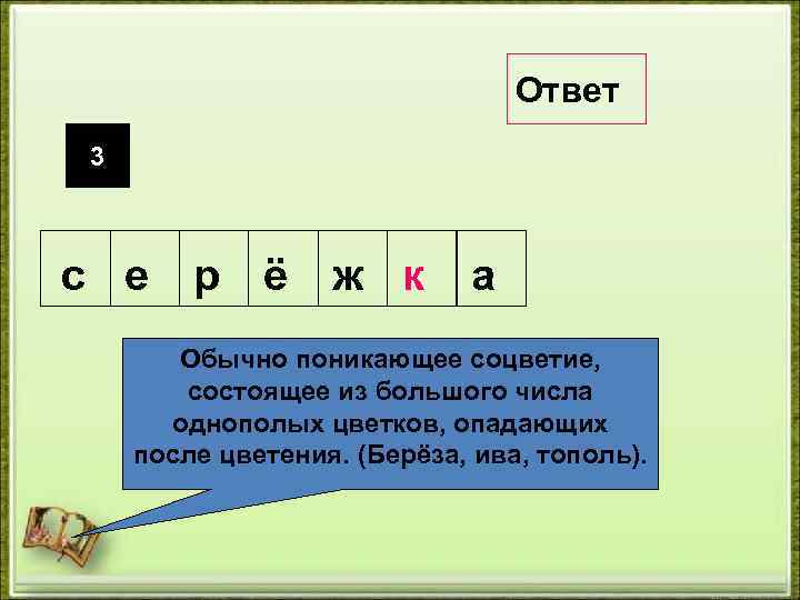 Ответ 3 с е р ё ж к а Обычно поникающее соцветие, состоящее из