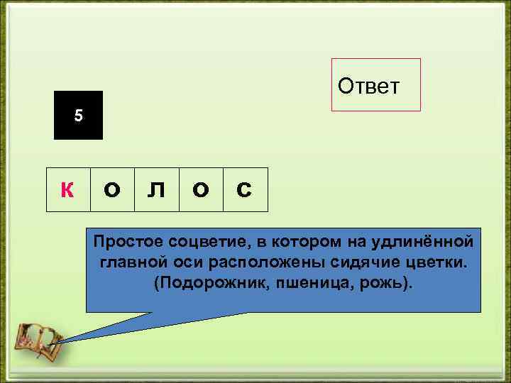 Ответ 5 к о л о с Простое соцветие, в котором на удлинённой главной