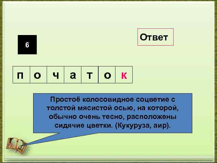 Ответ 6 п о ч а т о к Простоё колосовидное соцветие с толстой
