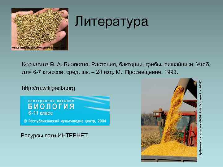 Литература http: //golishi. narod 2. ru/svinki/chem_kormit_i_kak/ http: //ru. wikipedia. org Ресурсы сети ИНТЕРНЕТ. http: