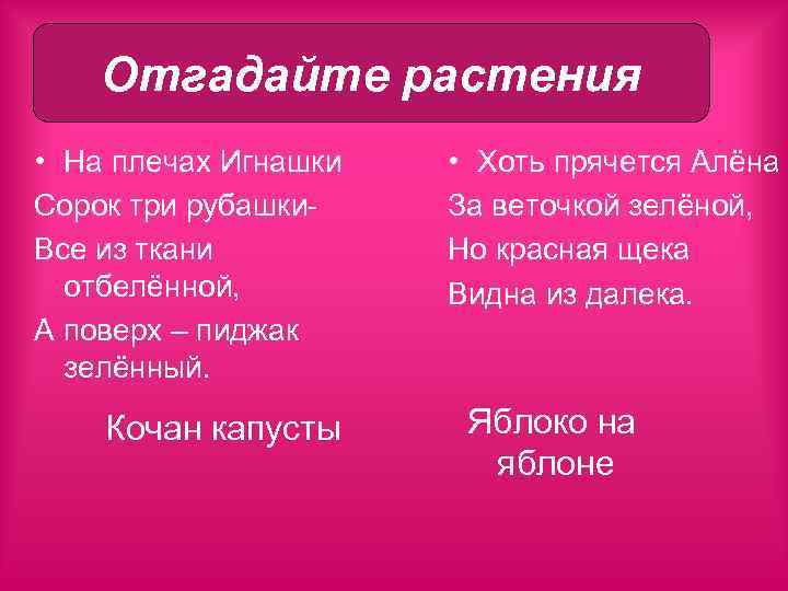 Отгадайте растения • На плечах Игнашки Сорок три рубашки. Все из ткани отбелённой, А