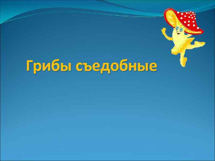 Грибы съедобные 